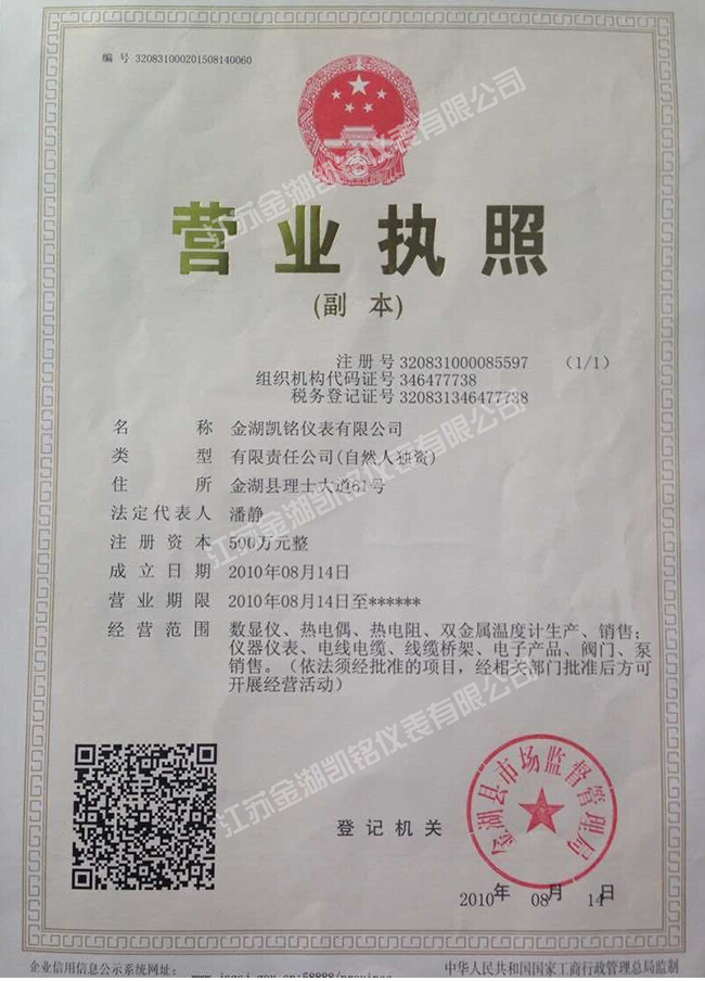 金湖凱銘儀表有限公司營(yíng)業(yè)執照